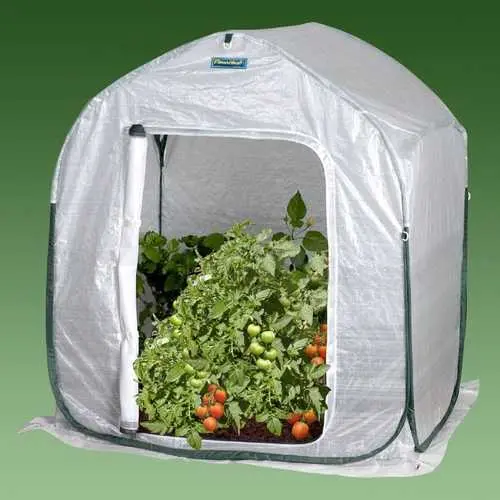 3' X 3' Cold Frame Greenhouse Kit – Garden Cold Frame Style For Home Growing 1