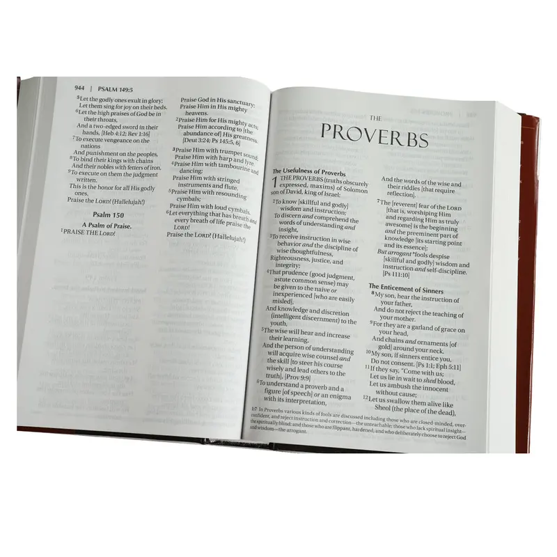 Amplified Holy Bible – Large-Print Hardcover Edition 2