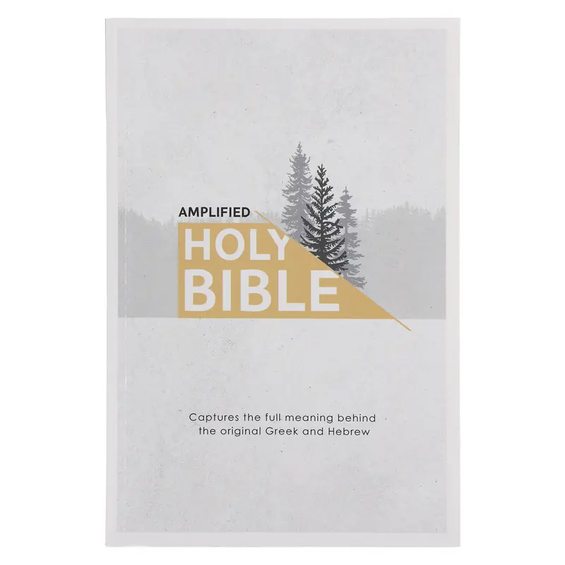 Amplified Version Grey Edition – Paperback Economy Bible 1