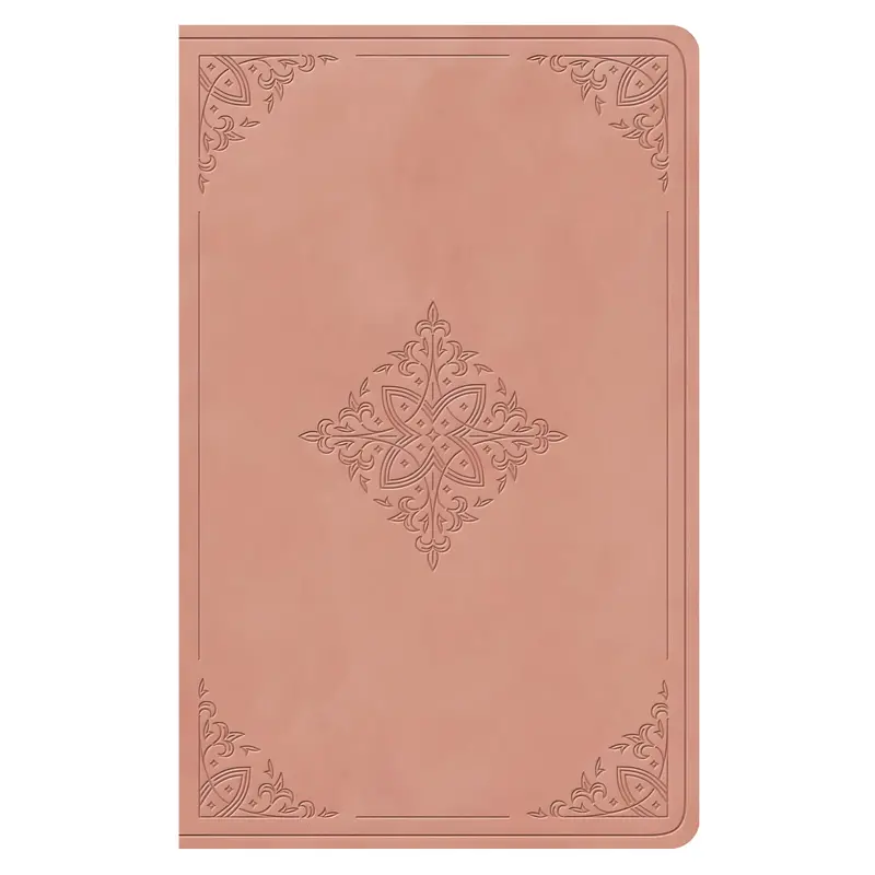 Esv Pink Fleur-De-Lis Giant Print Personal Size Bible – Imitation Leather 1
