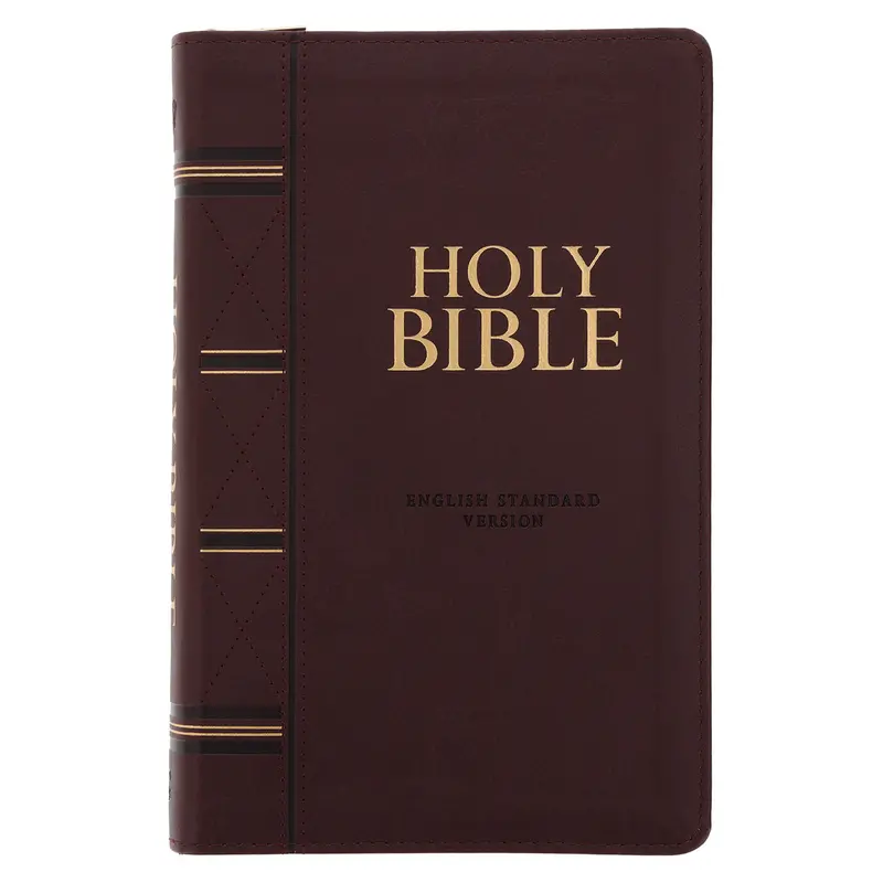 Esv Standard Bible – Dark Brown Faux Leather, Thumb-Indexed With Zip Closure 1