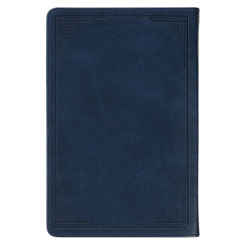 Finding Peace In The Psalms: 100 Soul-Restoring Devotions – Faux Leather Edition 2