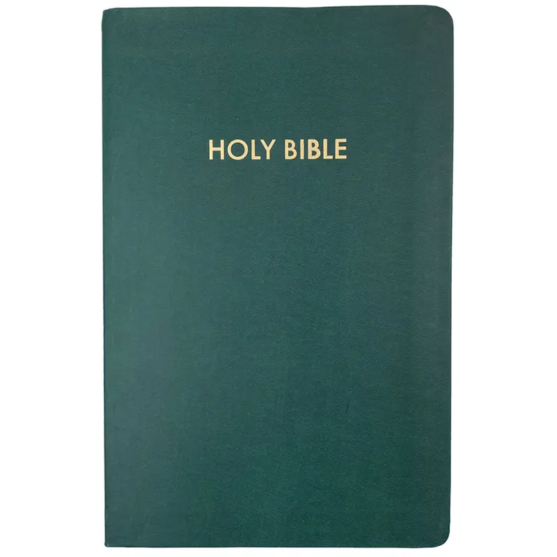 Niv Holy Bible — Flexible Green Forest Cover Edition 1