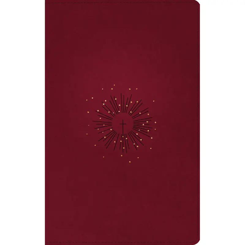 Nlt Filament Thinline Reference Bible — Red Letter Edition In Aurora Cranberry Imitation Leather 1