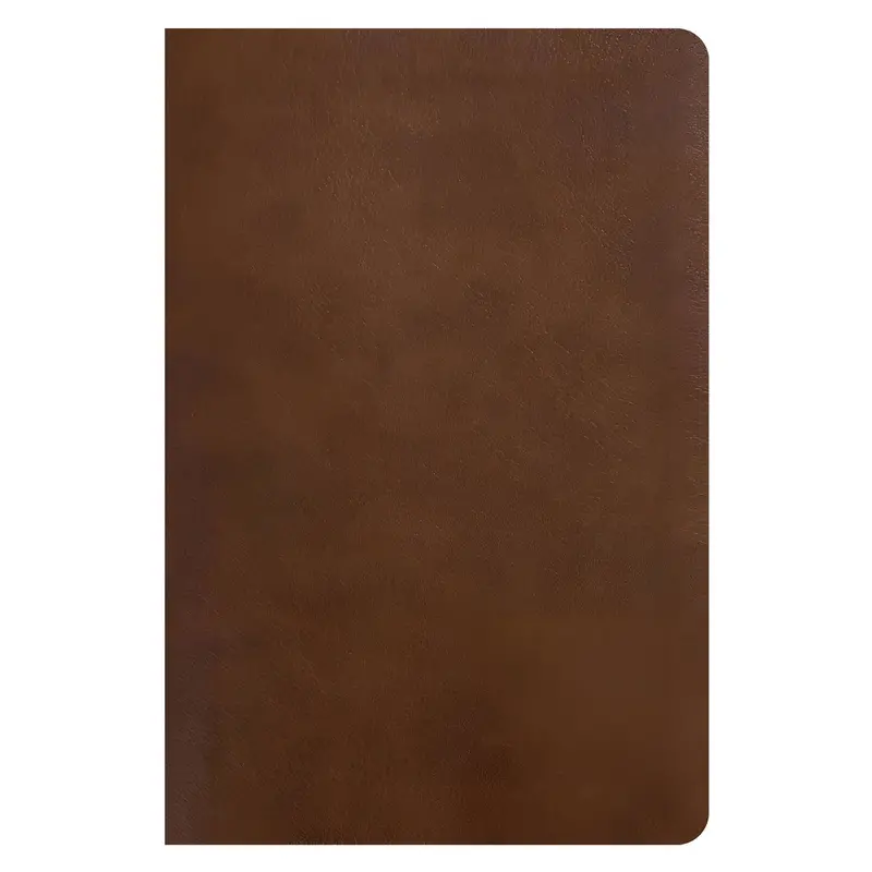 Nlt One-Year Chronological Study Bible — Rustic Brown Imitation Leather 2