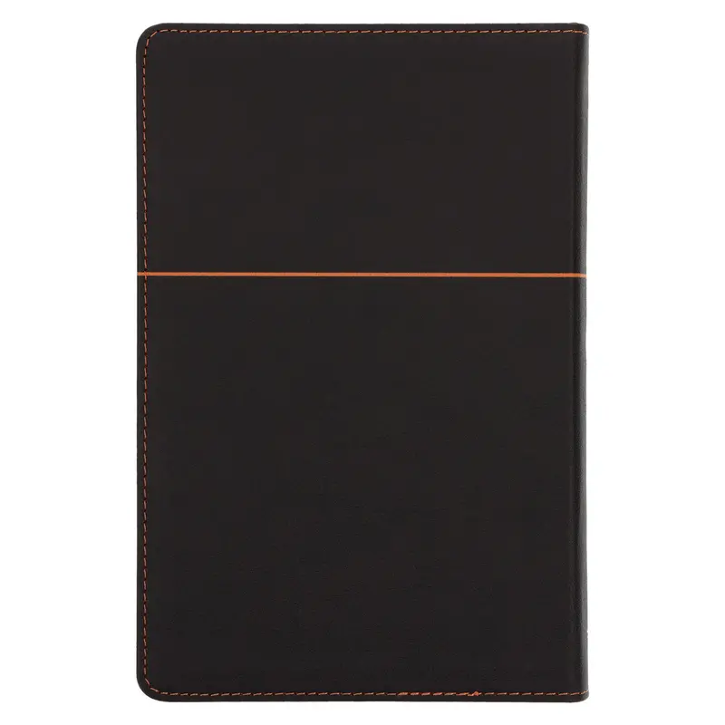 Nlv Standard Bible In Dark Brown & Orange Faux Leather – Thumb-Indexed Edition 2