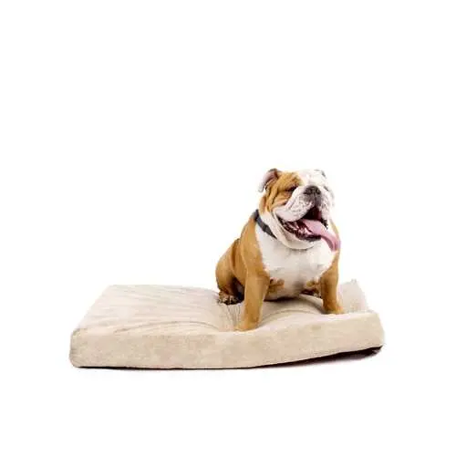 Orthopedic Dog Bed – 4-Inch Memory Foam Support For Medium Dogs 1