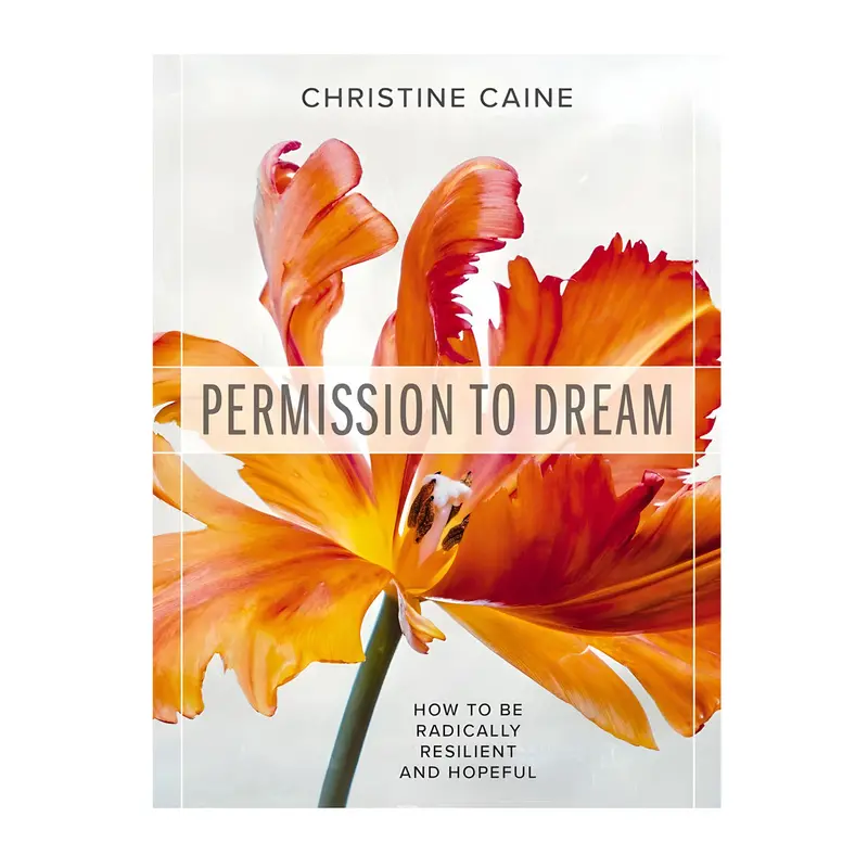 Permission To Dream: Cultivating Radical Resilience And Hopeful Living (Paperback) 1