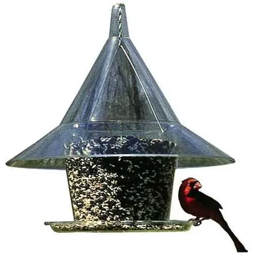 Squirrel-Resistant Wild Bird Feeder – Holds Up To 10 Birds Simultaneously 1