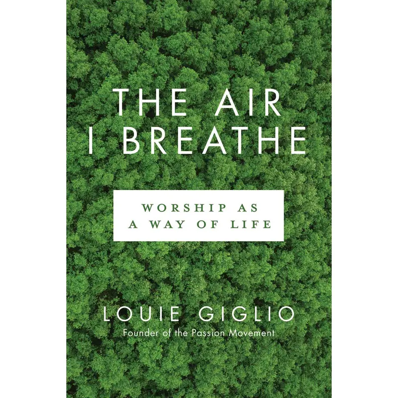 The Air I Breathe: A Story Of Grace, Grief, And Renewal (Paperback) 1